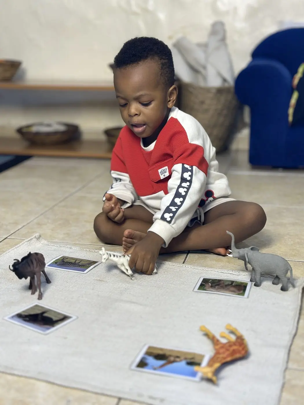 A Nido-age child exploring animal figures and matching cards on a mat