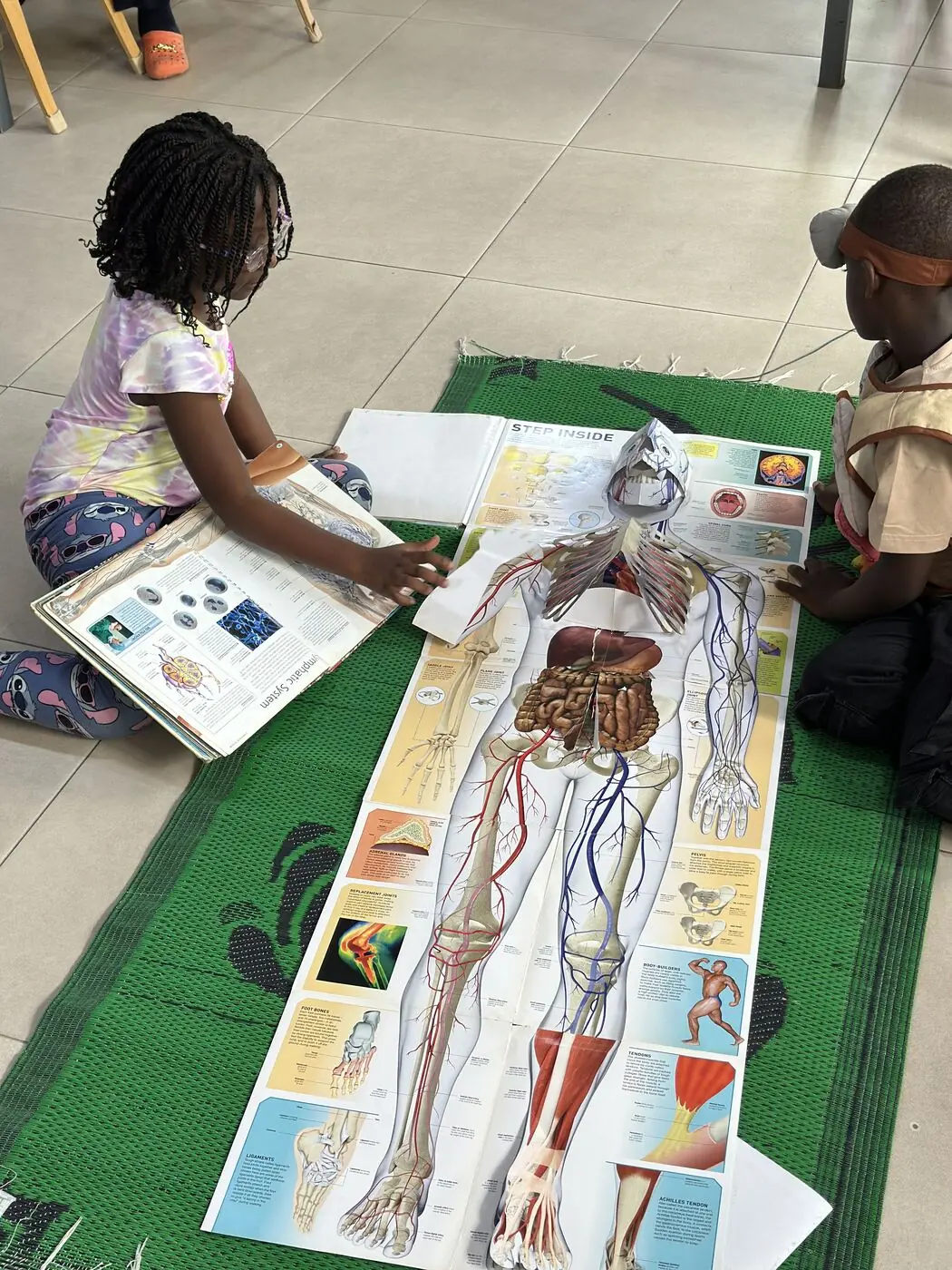 Children&rsquo;s House children exploring a human anatomy chart during cultural studies
